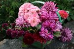 bouquet-de-fleurs_22