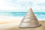 macro-photo-coquillage