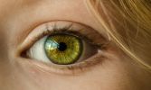 oeil-macro