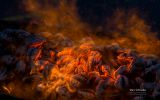 danger-le-feu-en-photo
