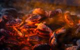 le-feu-en-photo-brasero