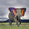 papiphant
