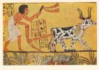ancien-papyrus-egyptien_03