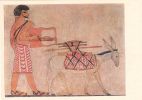egypte-ancienne-papyrus_03