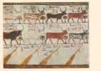 papyrus-egypte-ancienne_02