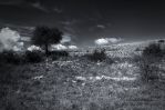photo-de-paysage-champetre