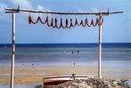 saucisse-qui-seche-sur-la-plage