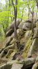 gros-rochers-en-foret-bretagne