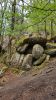 gros-rochers-en-foret-visite