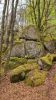 gros-rochers-en-foret