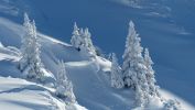 manteau-de-neige