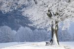 petit-coin-sous-la-neige