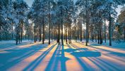 siberian-sunset