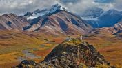 denali-dall