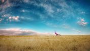 free-breaking-bad-wallpapers_10