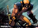 wolverine-2004