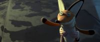 le-renard