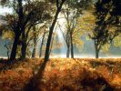 fond-ecran-hd_03