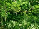 fond-ecran-hd_06