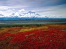 images-du-monde_02