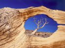 images-du-monde_03
