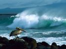 images-du-monde_04