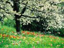 images-du-monde_06