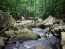 la-beaute-de-la-nature_05