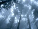 paysages-de-reve