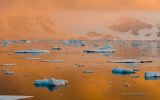 nature-sauvage_04