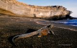 nature-sauvage_05