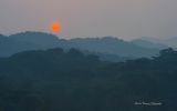 nature-sauvage_06
