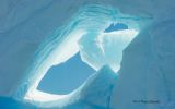 nature-sauvage_07