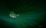 goutte-d-eau