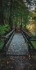 petit-pont
