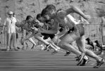 la-course-reine