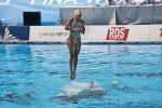 natation-synchronisee