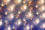 fireworks-eblouissant