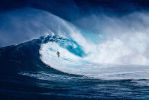 surf