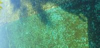 eau-verte