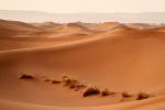 dunes