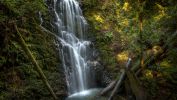 cascade