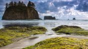 paysages-marins