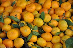 produits du marché