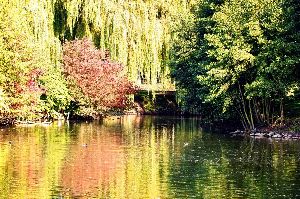 promenade au parc